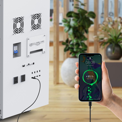 Energy Storage System Solar Panel Battery With Inverter , 48v Lifepo4 Battery Cells